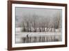 USA, Colorado, Boulder. Canadian Geese Taking Flight from Water-Jaynes Gallery-Framed Photographic Print