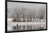 USA, Colorado, Boulder. Canadian Geese Taking Flight from Water-Jaynes Gallery-Framed Photographic Print