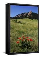 USA, Colorado, Boulder. Flatirons and Poppies at Chautauqua Park-Jaynes Gallery-Framed Stretched Canvas