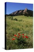USA, Colorado, Boulder. Flatirons and Poppies at Chautauqua Park-Jaynes Gallery-Stretched Canvas