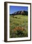 USA, Colorado, Boulder. Flatirons and Poppies at Chautauqua Park-Jaynes Gallery-Framed Photographic Print