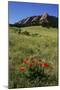 USA, Colorado, Boulder. Flatirons and Poppies at Chautauqua Park-Jaynes Gallery-Mounted Photographic Print