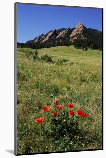 USA, Colorado, Boulder. Flatirons and Poppies at Chautauqua Park-Jaynes Gallery-Mounted Photographic Print