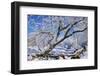 USA, Colorado, Boulder. Winter Scenic-Jaynes Gallery-Framed Photographic Print