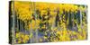 USA, Colorado. Bright Yellow Aspens in Rockies, Cottonwood Pass.-Anna Miller-Stretched Canvas