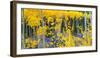 USA, Colorado. Bright Yellow Aspens in Rockies, Cottonwood Pass.-Anna Miller-Framed Photographic Print