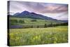 USA, Colorado, Crested Butte. Landscape of wildflowers and mountain.-Dennis Flaherty-Stretched Canvas