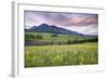 USA, Colorado, Crested Butte. Landscape of wildflowers and mountain.-Dennis Flaherty-Framed Photographic Print