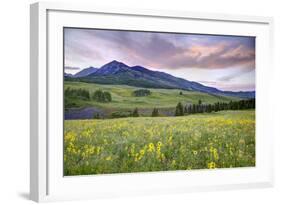 USA, Colorado, Crested Butte. Landscape of wildflowers and mountain.-Dennis Flaherty-Framed Photographic Print