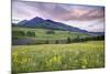 USA, Colorado, Crested Butte. Landscape of wildflowers and mountain.-Dennis Flaherty-Mounted Photographic Print