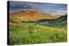 USA, Colorado, Crested Butte. Landscape of wildflowers and mountain.-Dennis Flaherty-Stretched Canvas