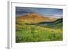 USA, Colorado, Crested Butte. Landscape of wildflowers and mountain.-Dennis Flaherty-Framed Photographic Print