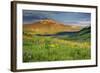 USA, Colorado, Crested Butte. Landscape of wildflowers and mountain.-Dennis Flaherty-Framed Photographic Print