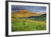 USA, Colorado, Crested Butte. Landscape of wildflowers and mountain.-Dennis Flaherty-Framed Photographic Print