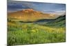 USA, Colorado, Crested Butte. Landscape of wildflowers and mountain.-Dennis Flaherty-Mounted Photographic Print