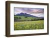 USA, Colorado, Crested Butte. Landscape of wildflowers and mountain.-Dennis Flaherty-Framed Photographic Print