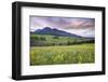 USA, Colorado, Crested Butte. Landscape of wildflowers and mountain.-Dennis Flaherty-Framed Photographic Print