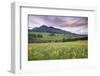 USA, Colorado, Crested Butte. Landscape of wildflowers and mountain.-Dennis Flaherty-Framed Photographic Print