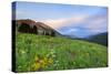 USA, Colorado, Crested Butte. Landscape of wildflowers and mountains.-Dennis Flaherty-Stretched Canvas