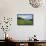 USA, Colorado, Crested Butte. Landscape of wildflowers and mountains.-Dennis Flaherty-Framed Stretched Canvas displayed on a wall