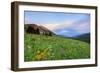 USA, Colorado, Crested Butte. Landscape of wildflowers and mountains.-Dennis Flaherty-Framed Photographic Print