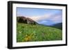 USA, Colorado, Crested Butte. Landscape of wildflowers and mountains.-Dennis Flaherty-Framed Photographic Print