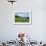 USA, Colorado, Crested Butte. Landscape of wildflowers and mountains.-Dennis Flaherty-Framed Photographic Print displayed on a wall