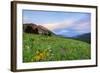 USA, Colorado, Crested Butte. Landscape of wildflowers and mountains.-Dennis Flaherty-Framed Photographic Print