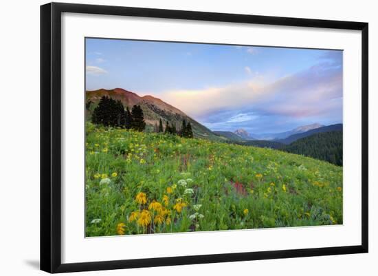 USA, Colorado, Crested Butte. Landscape of wildflowers and mountains.-Dennis Flaherty-Framed Photographic Print