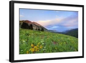 USA, Colorado, Crested Butte. Landscape of wildflowers and mountains.-Dennis Flaherty-Framed Photographic Print