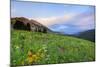 USA, Colorado, Crested Butte. Landscape of wildflowers and mountains.-Dennis Flaherty-Mounted Photographic Print