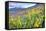 USA, Colorado, Crested Butte. Landscape of wildflowers on hillside.-Dennis Flaherty-Framed Stretched Canvas