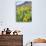 USA, Colorado, Crested Butte. Wildflowers covering hillside.-Jaynes Gallery-Photographic Print displayed on a wall