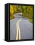 USA, Colorado. Curved Roadway near Aspen, Colorado in autumn colors and aspens groves.-Julie Eggers-Framed Stretched Canvas