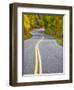 USA, Colorado. Curved Roadway near Aspen, Colorado in autumn colors and aspens groves.-Julie Eggers-Framed Photographic Print