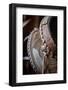 USA, Colorado, Custer County, Westcliffe. Tack room. Tooled leather western saddle.-Cindy Miller Hopkins-Framed Photographic Print