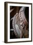 USA, Colorado, Custer County, Westcliffe. Tack room. Tooled leather western saddle.-Cindy Miller Hopkins-Framed Photographic Print