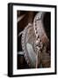 USA, Colorado, Custer County, Westcliffe. Tack room. Tooled leather western saddle.-Cindy Miller Hopkins-Framed Photographic Print