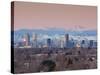 USA, Colorado, Denver, City View and Rocky Mountains from the East-Walter Bibikow-Stretched Canvas