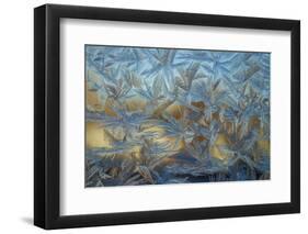 USA, Colorado, Denver. Frost on a Window-Cathy & Gordon Illg-Framed Photographic Print