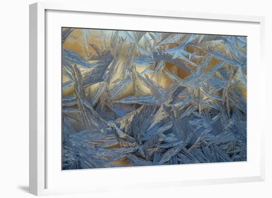 USA, Colorado, Denver. Frost on a Window-Cathy & Gordon Illg-Framed Photographic Print