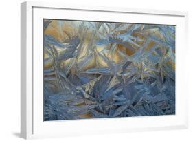 USA, Colorado, Denver. Frost on a Window-Cathy & Gordon Illg-Framed Photographic Print