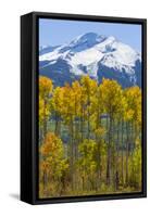 USA, Colorado. Fall Aspens and Mountain-Jaynes Gallery-Framed Stretched Canvas