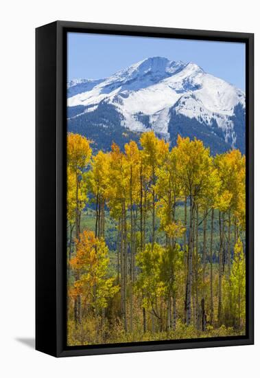 USA, Colorado. Fall Aspens and Mountain-Jaynes Gallery-Framed Stretched Canvas