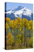 USA, Colorado. Fall Aspens and Mountain-Jaynes Gallery-Stretched Canvas