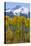 USA, Colorado. Fall Aspens and Mountain-Jaynes Gallery-Stretched Canvas