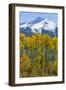 USA, Colorado. Fall Aspens and Mountain-Jaynes Gallery-Framed Photographic Print