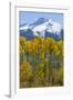 USA, Colorado. Fall Aspens and Mountain-Jaynes Gallery-Framed Photographic Print