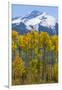 USA, Colorado. Fall Aspens and Mountain-Jaynes Gallery-Framed Premium Photographic Print