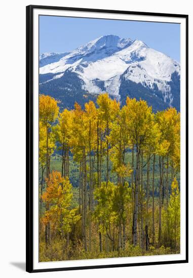 USA, Colorado. Fall Aspens and Mountain-Jaynes Gallery-Framed Premium Photographic Print